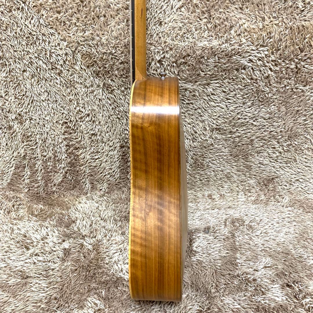 【美品・新品弦交換済】Taylor Baby BT1 ミニアコギ テイラー