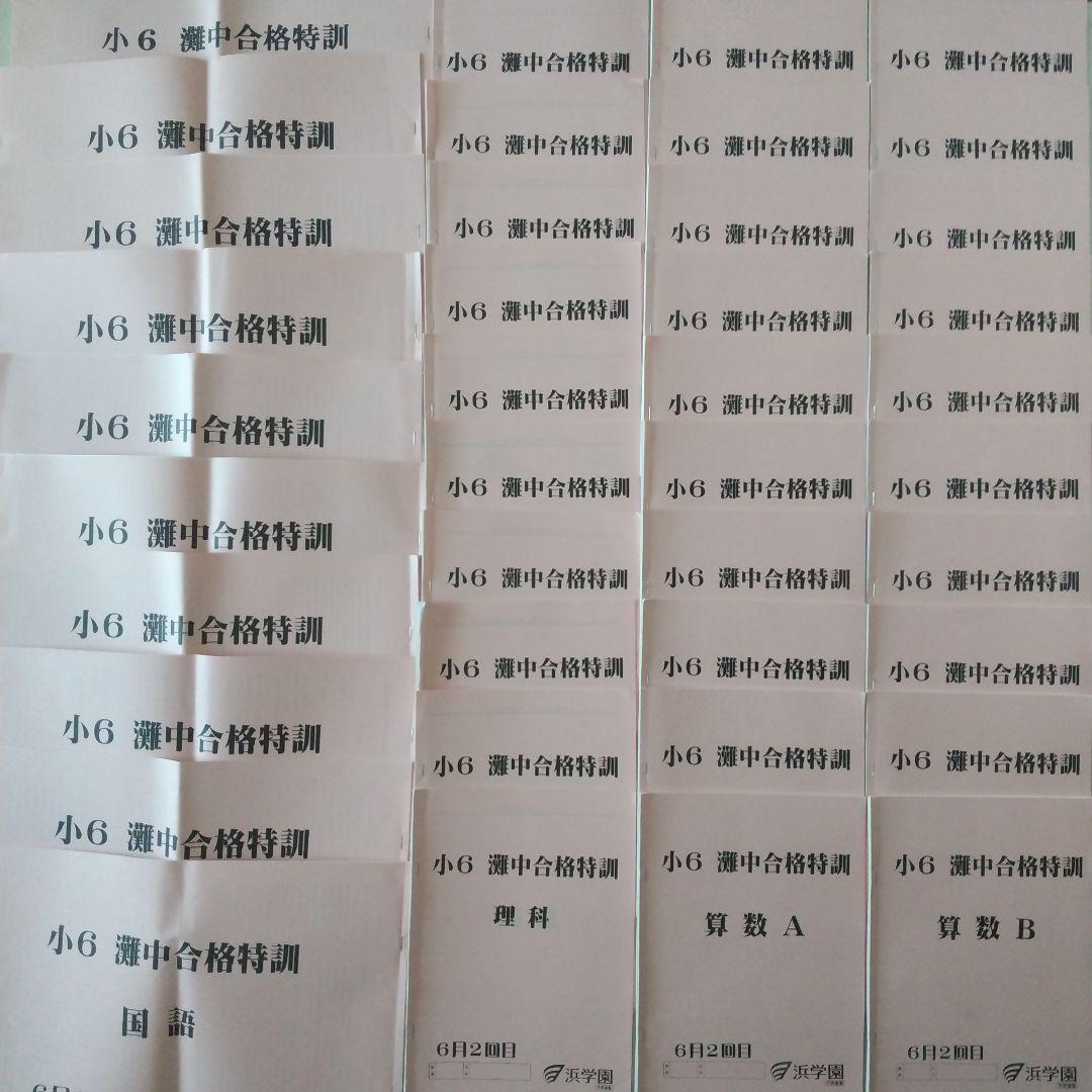 浜学園 小6 灘中合格特訓 国語 算数 理科 フルセット 語句プリント付