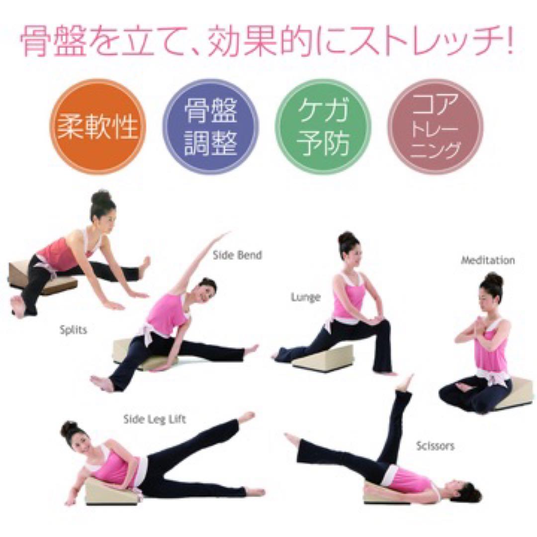 サンテプラス　フレックスクッション　Flexcushionベージュ