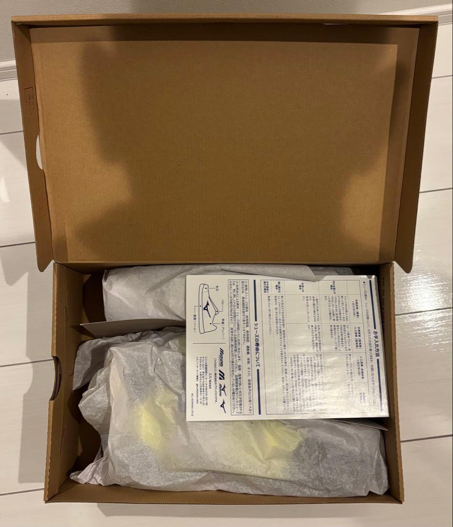 Mizuno 安全靴 ALMIGHTY SDII 13H 28.0cm