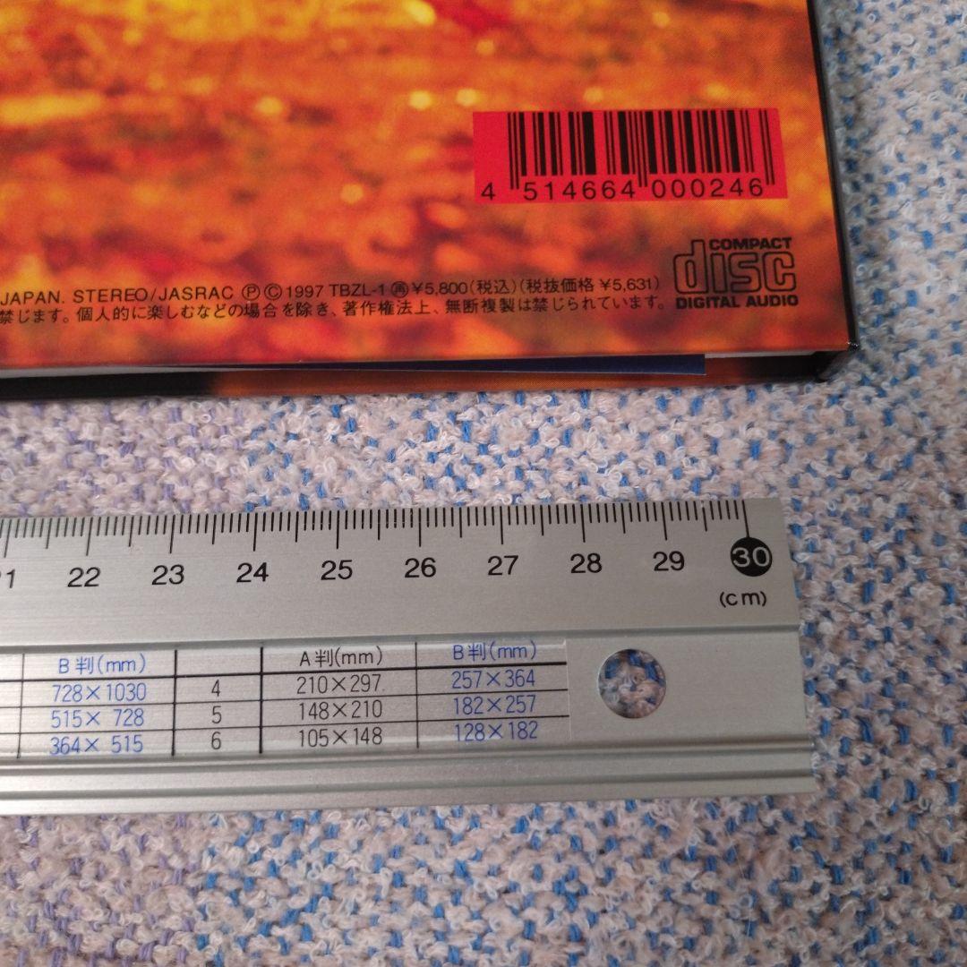 ファン大望！尾崎豊特別限定盤　Before the Seventeenｓ Map