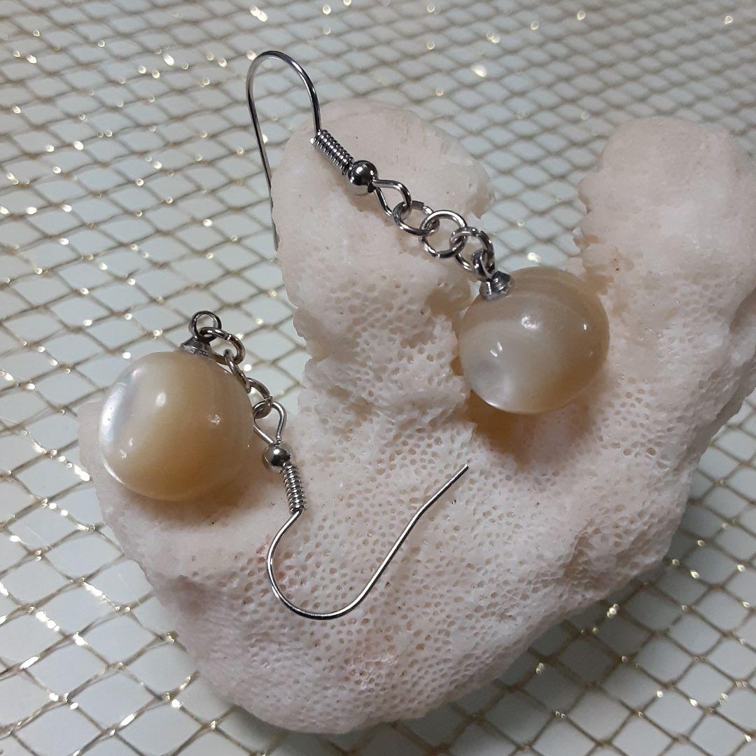 夜光貝　(6点おまとめ/ペロちゃん。❤︎お取り置き中)