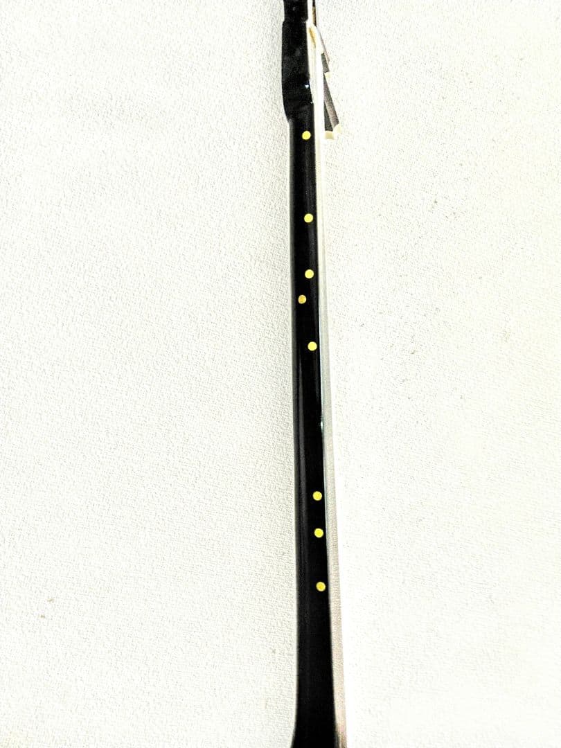 沖縄三線　人工皮　セミハードケース付き