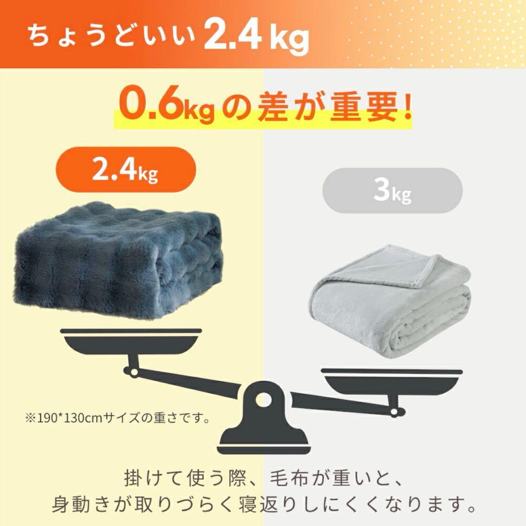 ふわとろ毛布 電気毛布 掛け敷き モコモコブランケット 極上ふわとろ 毛布