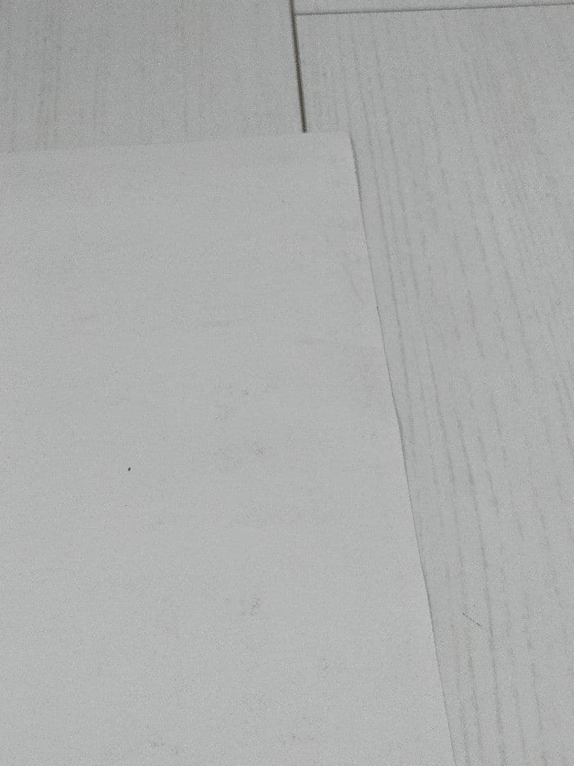 TOOL GREEN JELLO サイン入り ポスター 1991トゥール