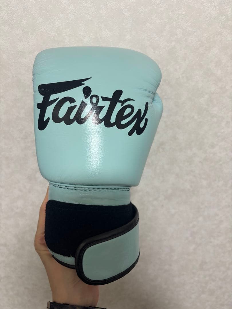 フェアテックス Fairtex BGV20 ボクシンググローブ 10oz