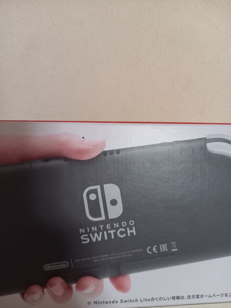 Nintendo Switch Lite 本体 (購入日 :R7.7.23)