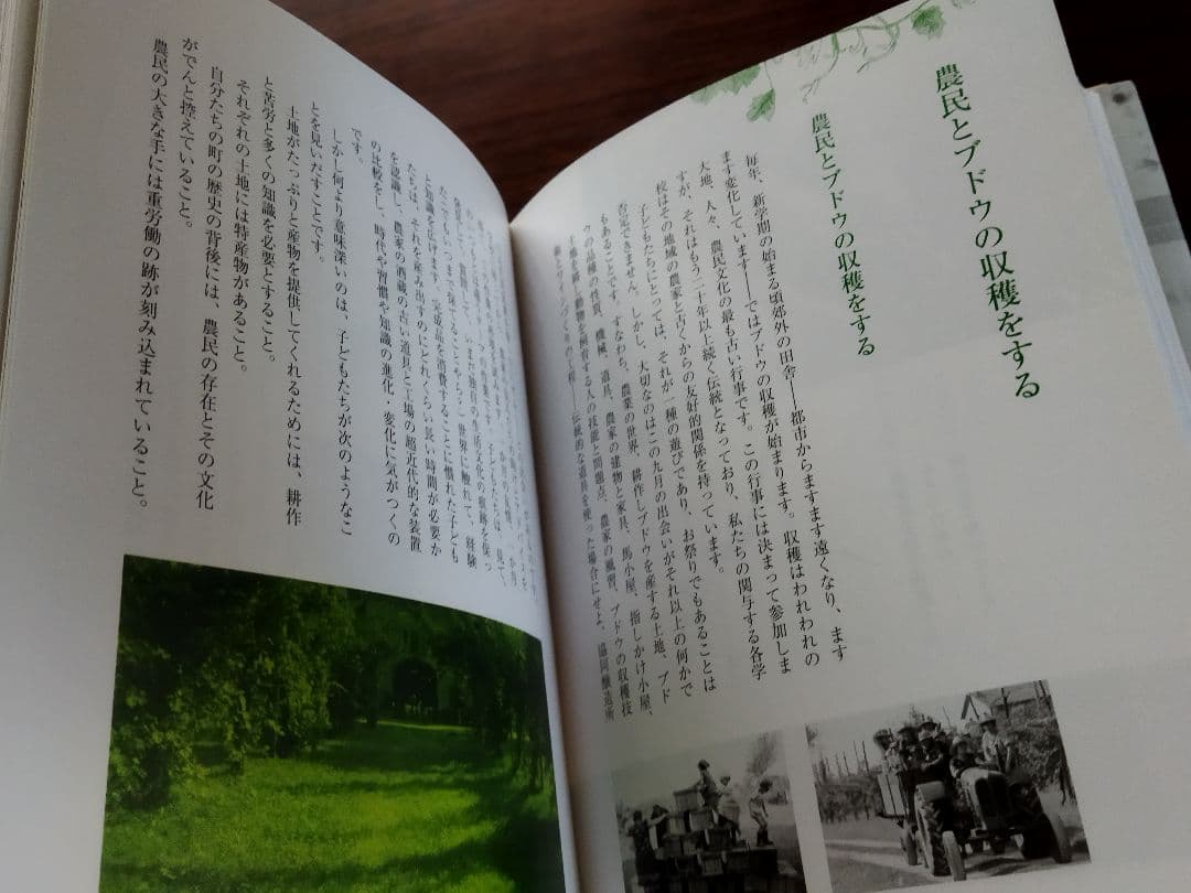 子どもたちの100の言葉 レッジョ・エミリアの幼児教育実践記録