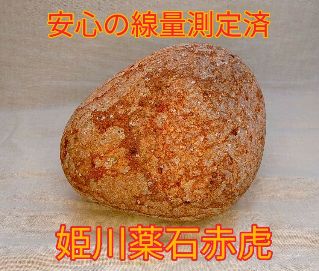 超レア!!姫川薬石赤虎(15)