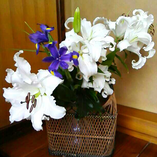 確認画面　ここで頂いた籠に　庭のカサブランカを。。。至福の時です！