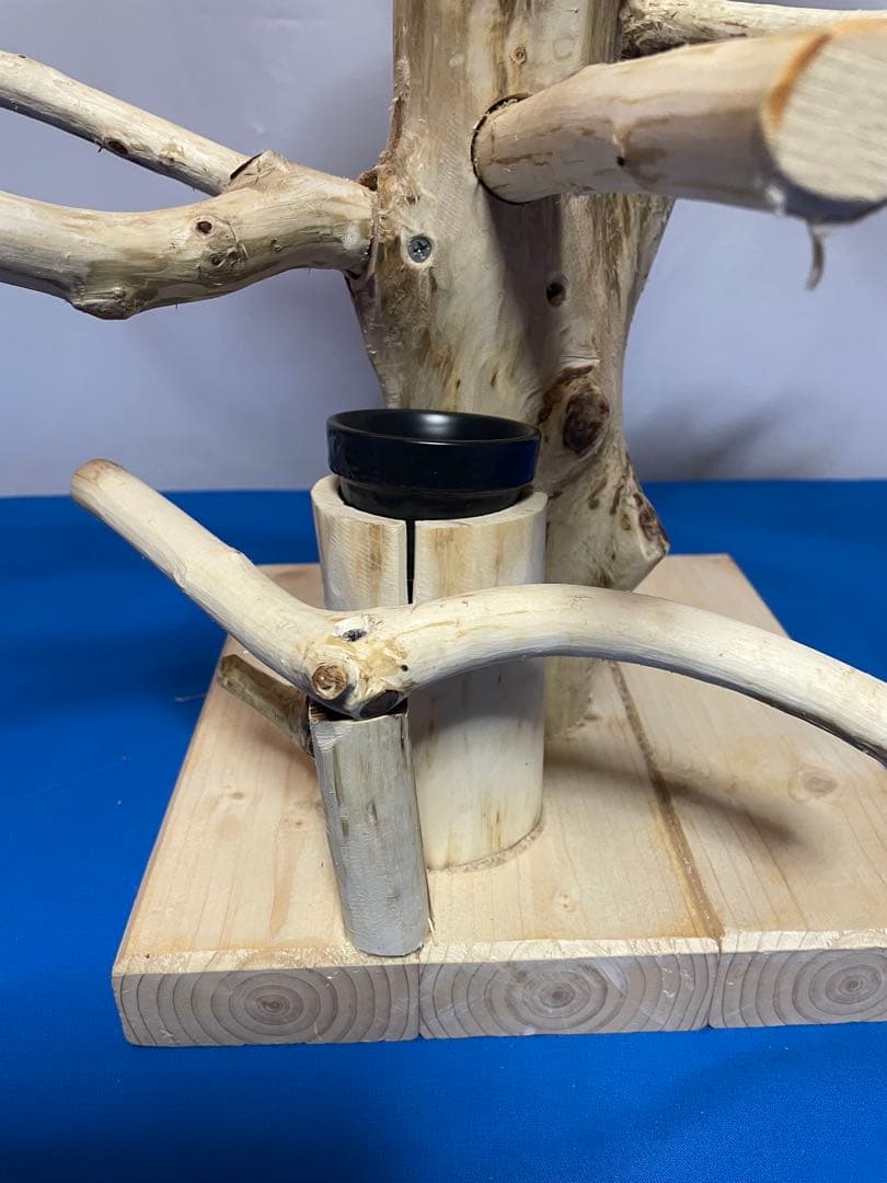 天然木白木バードジム75センチ