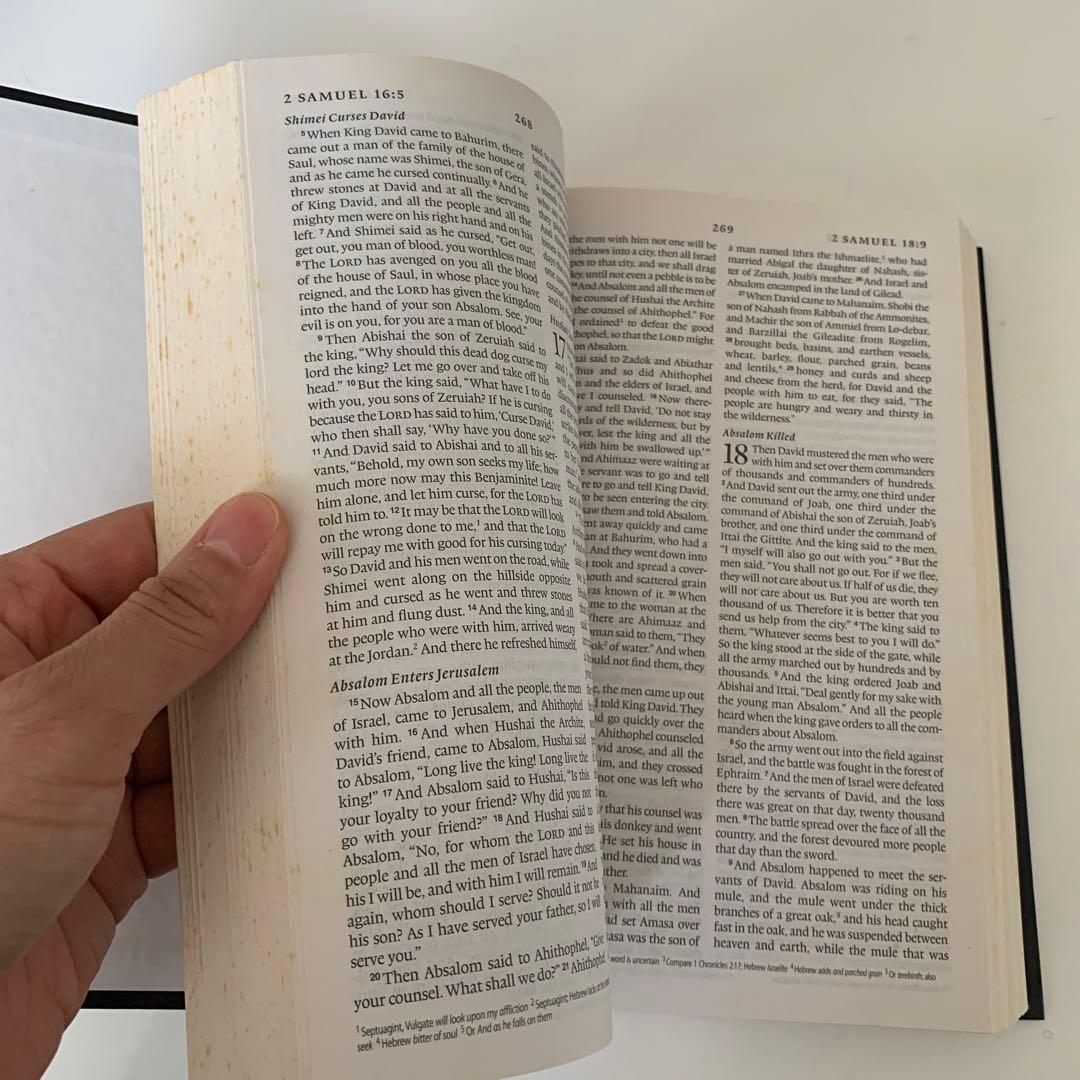 洋書 The HOLY BIBLE English standard version