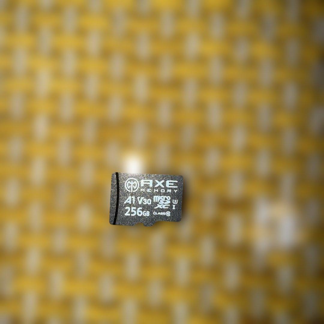 お*し様 Nintendo Switch ［周辺機器完備］（動作確認済）おまけ付