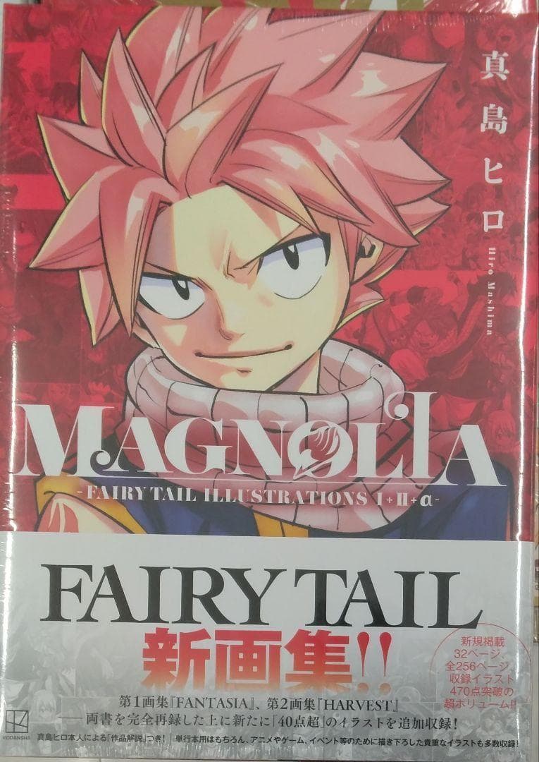 MAGNOLIA-FAIRY TAIL ILLUSTRATIONS 真島ヒロ