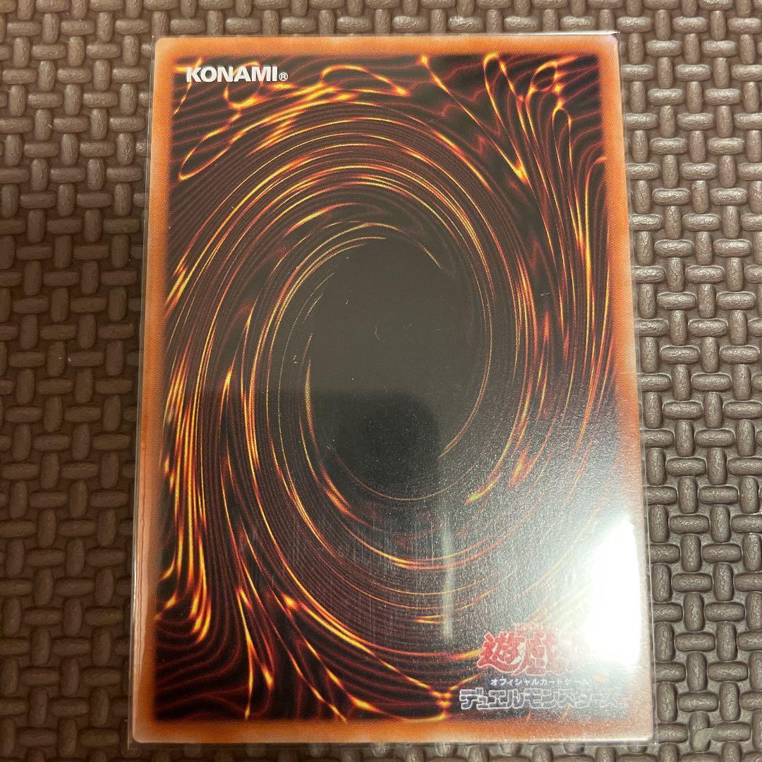 【完美品級】ブラックフェザー・ドラゴン プリシク