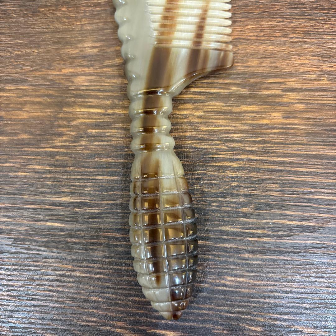 バッファローホーンコーム　牛角　天然角　ナチュラルホーンコーム