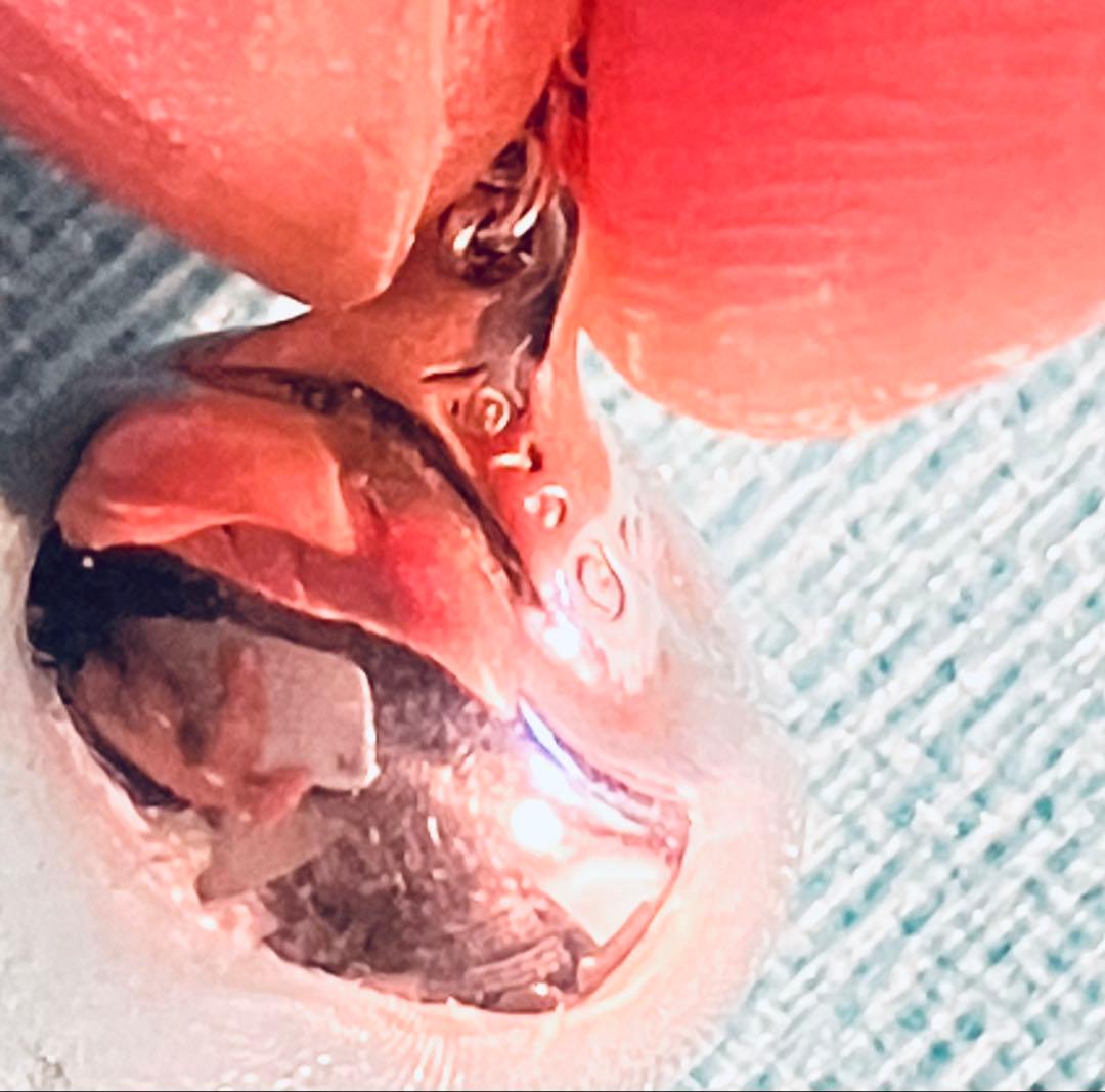 ティファニー 70s アップル リンゴ ヴィンテージ ネックレス 925 希少