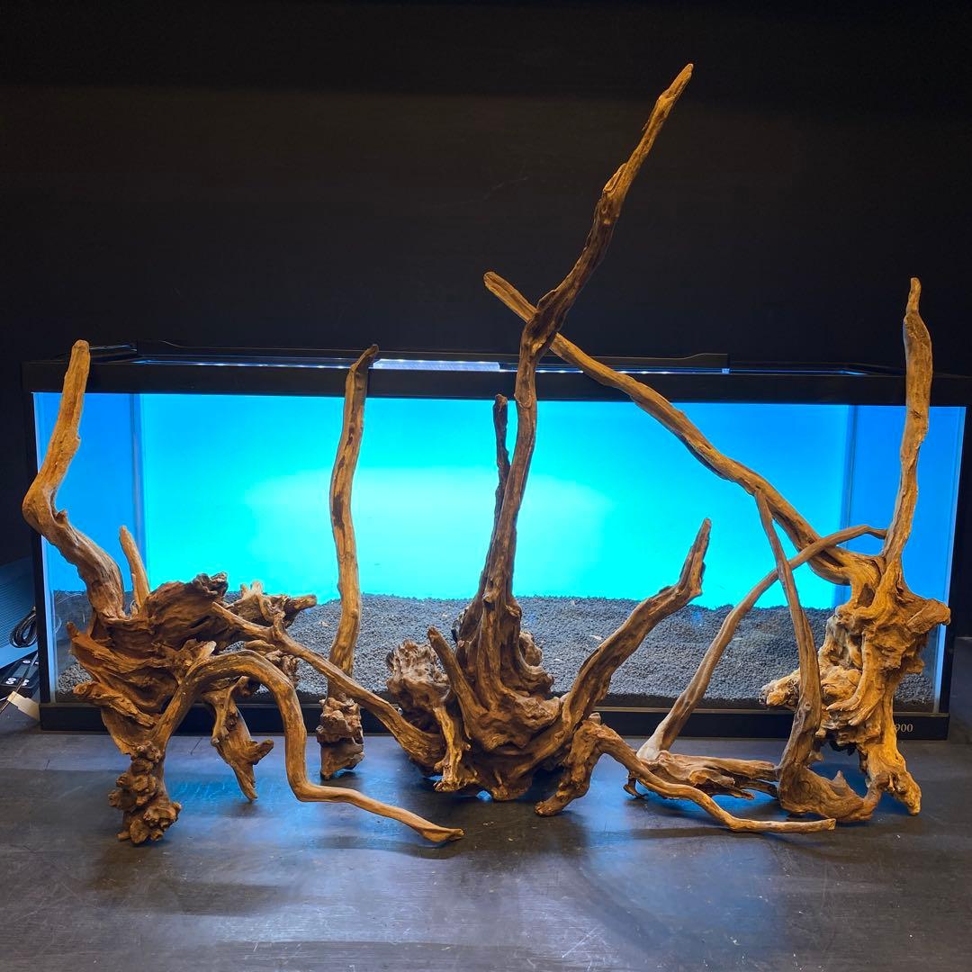 MSRW-6620 天然流木レイアウトセット　スリムウッド　アクアリウム