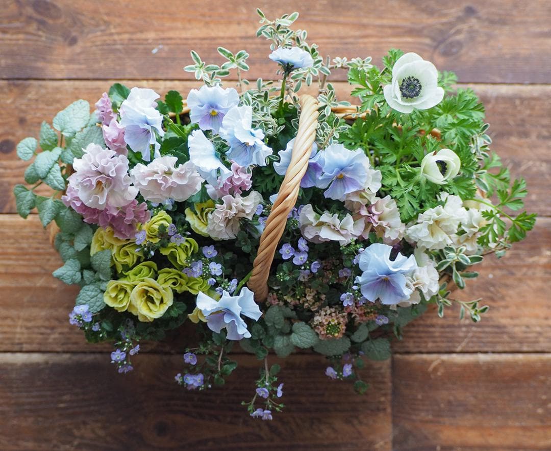 オーバルバスケットのパステルカラー寄せ植え