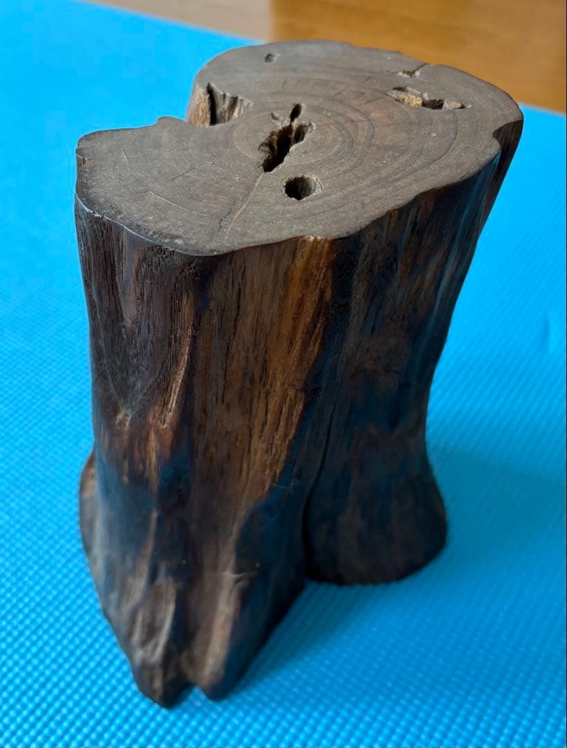 化石　珪化木　木化石　鉱物