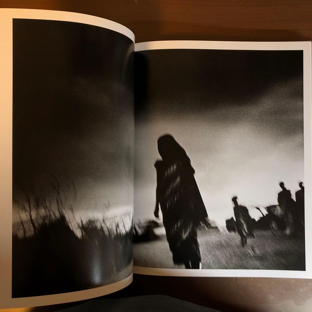 (珍しい本) DIES IRAE PAOLO PELLEGRIN (洋書)