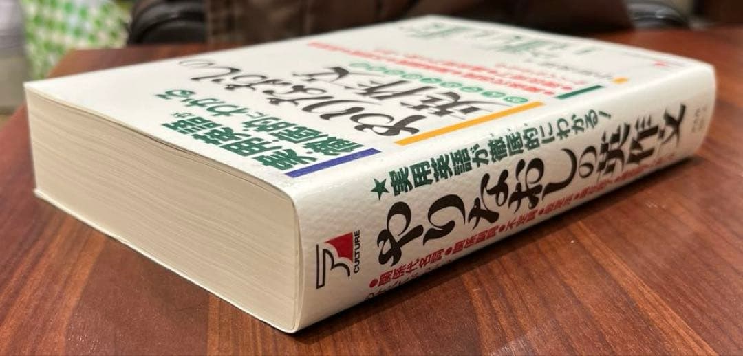 【超レア・極美】やりなおしの英作文（中野幾雄著）