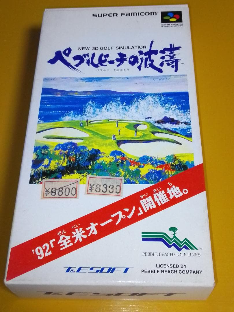 【SFC】 ペブルビーチの波濤