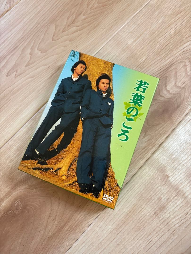 若葉のころ　DVD　6枚組