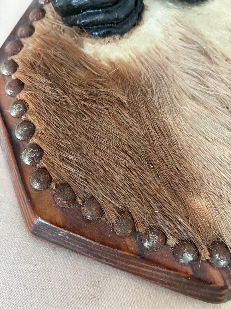 ジ*ん様 インパラの角 ハンティングトロフィー　オブジェ