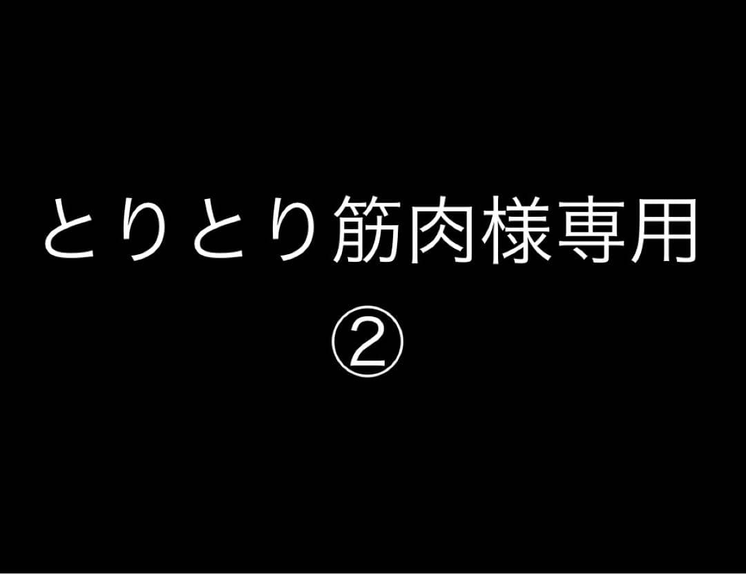 とりとり筋肉さま専用②