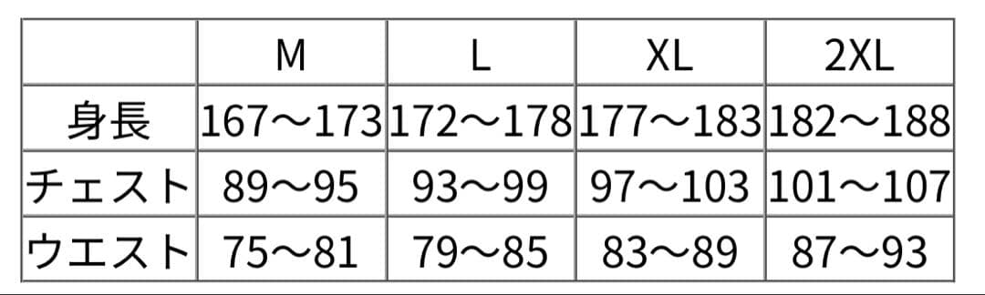 バレーボール日本代表男子西田有志VNLユニフォーム Lサイズ