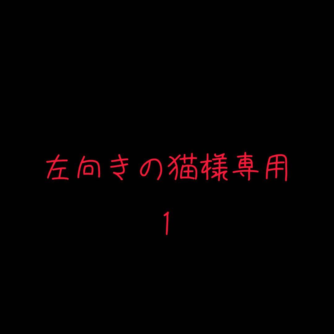 左向きの猫 ①