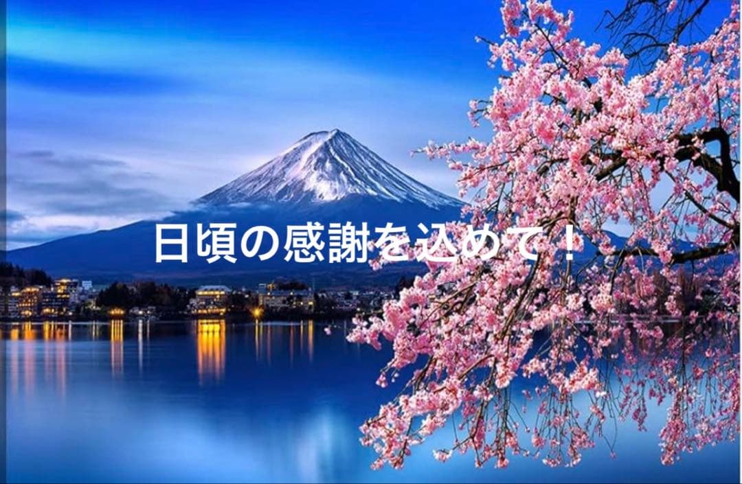 貴重❗️✨グラビトンセラミック ✨SAKURA✨