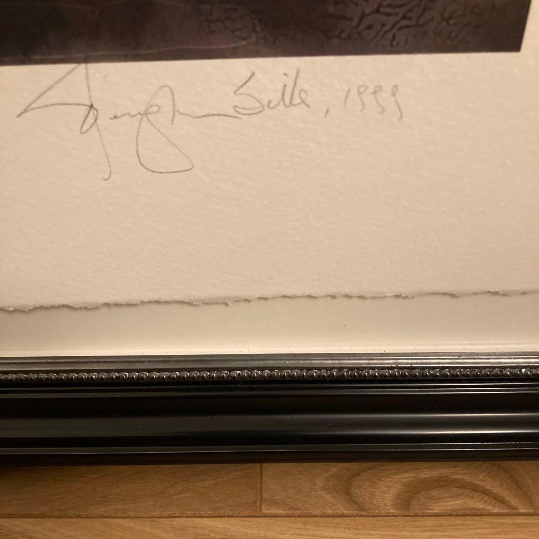 Vaughn Sills 「Beyond Words」アートフォト　写真