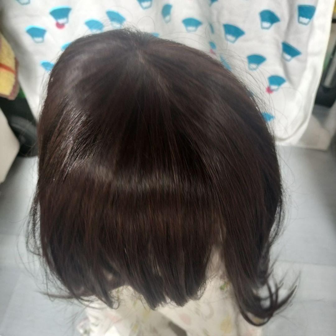 新品未使用 医療用ウィッグ ラフラ RM24NG カラー F10