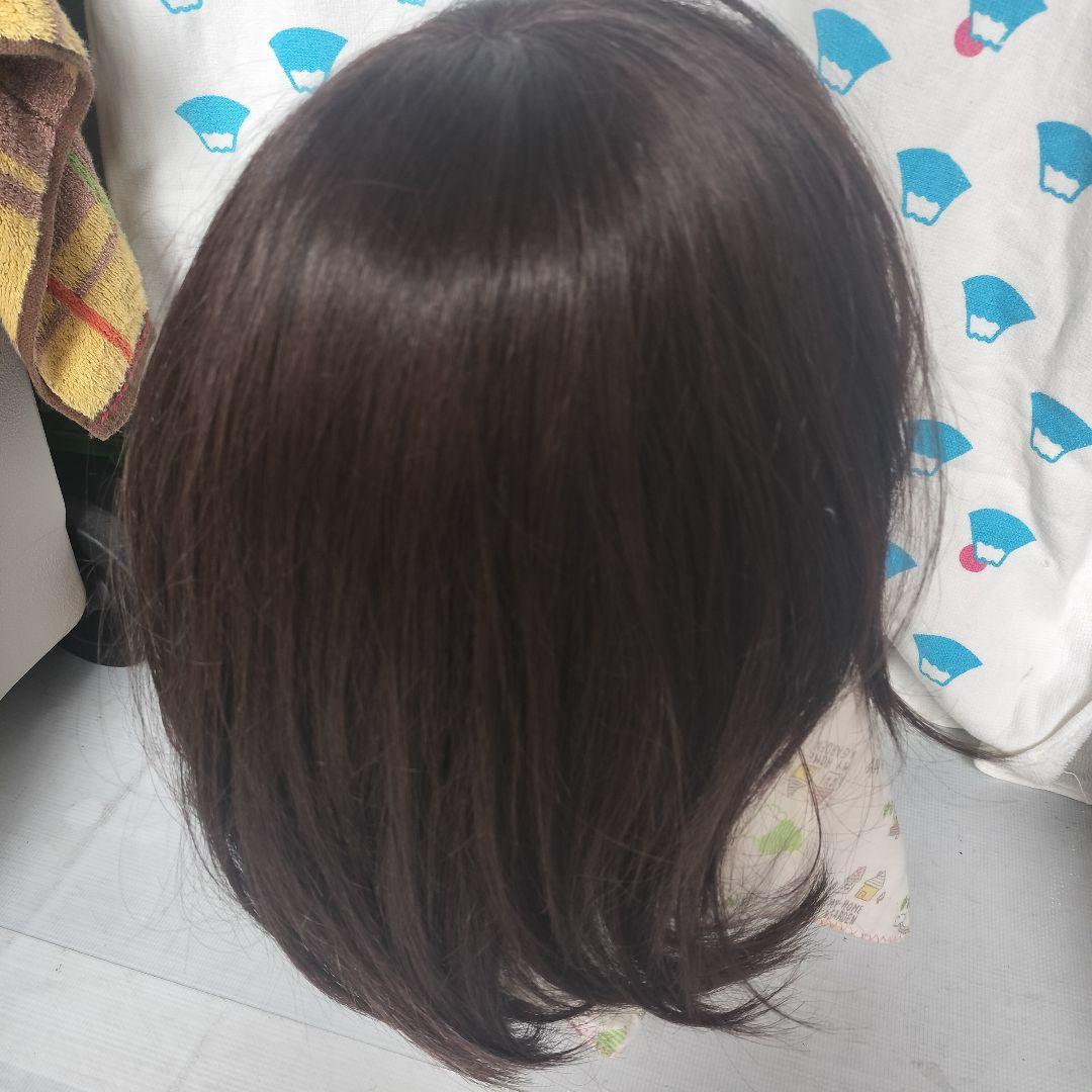 新品未使用 医療用ウィッグ ラフラ RM24NG カラー F10