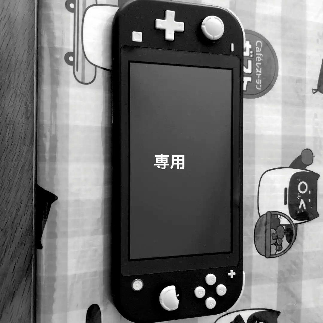Nintendo Switch Lite グレー 本体 ACアダプター付き