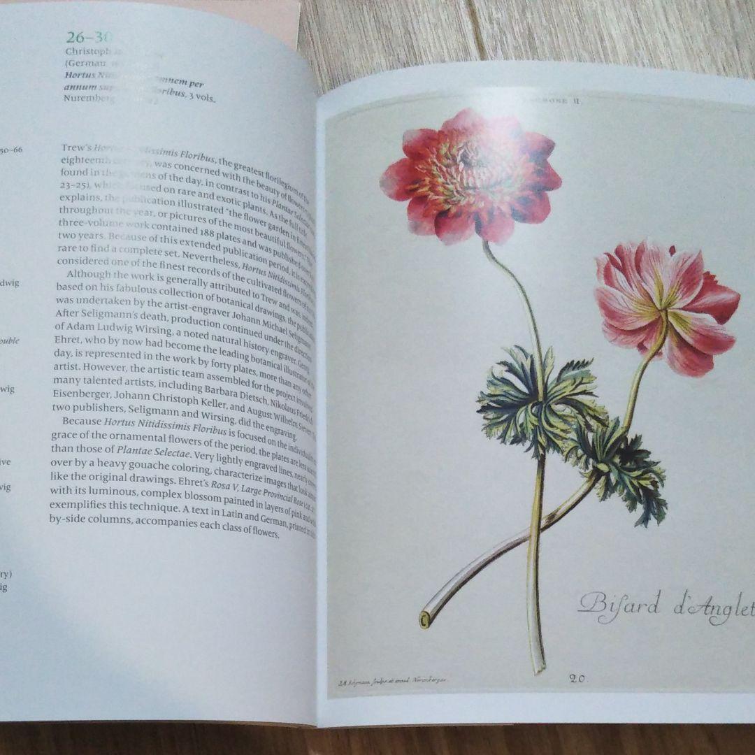 図録『永遠に花咲く庭　17ー19世紀の西洋植物画』