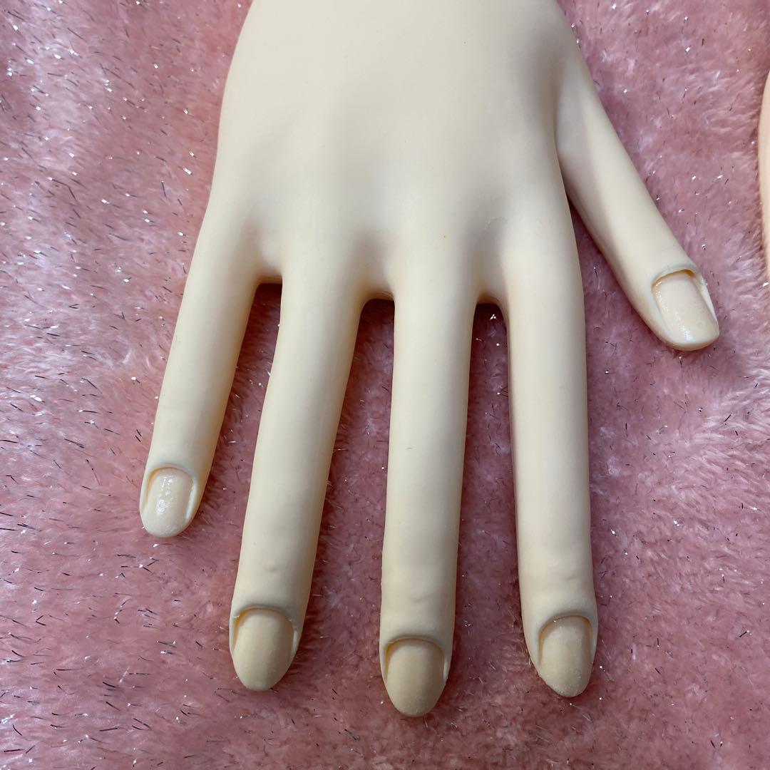 認定モデルハンド