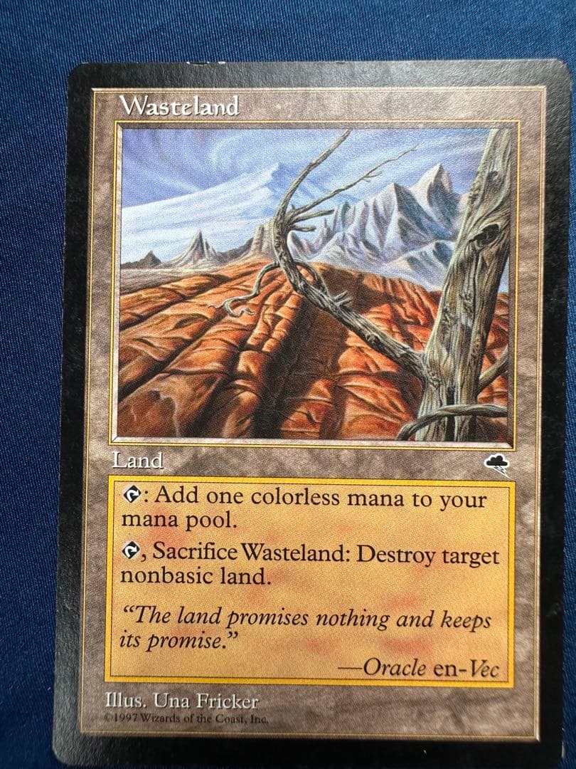 不毛の大地　Wasteland 4枚　テンペスト　MTG