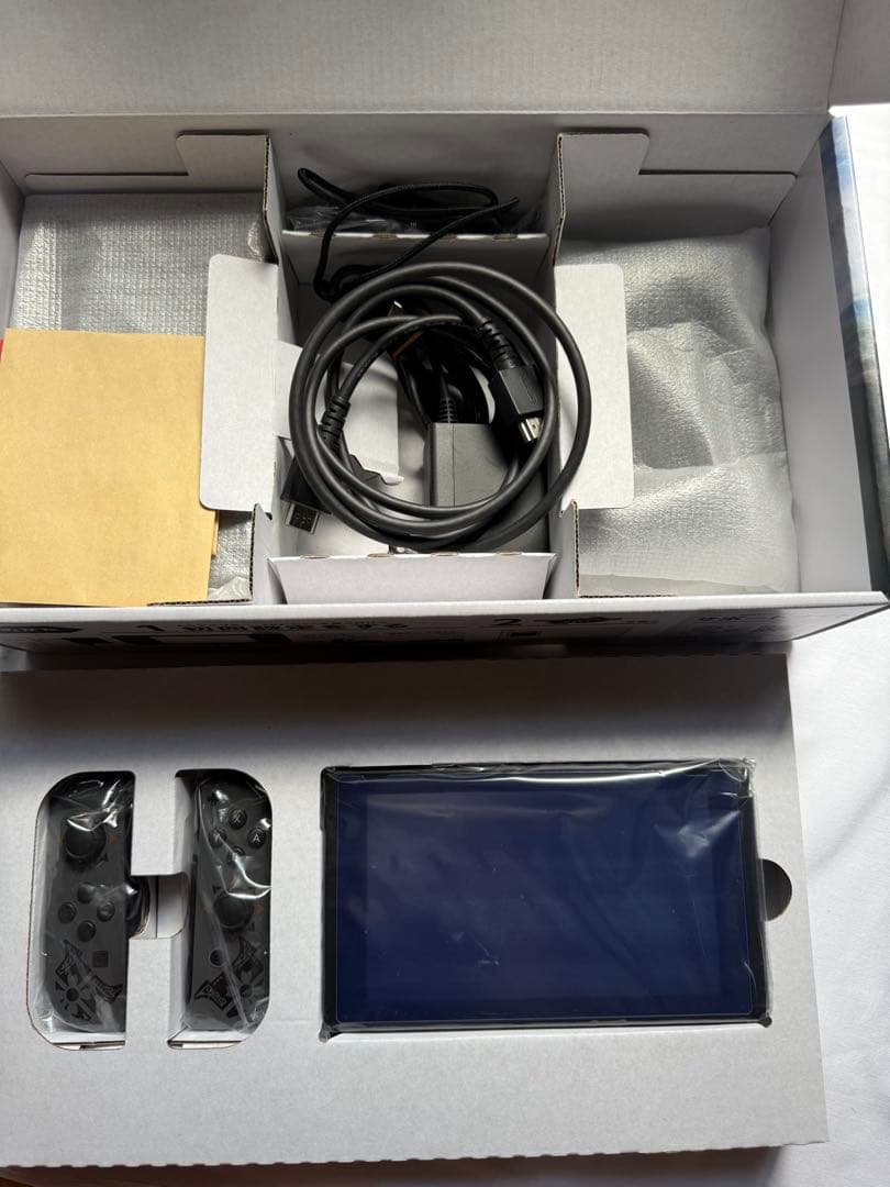 美品✨Nintendo Switch モーハンライズ スペシャルエディション