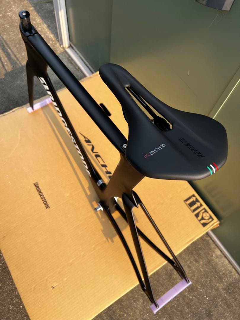 ブリヂストン　カーボンフレーム　ＴＥ９　Ｌサイズ