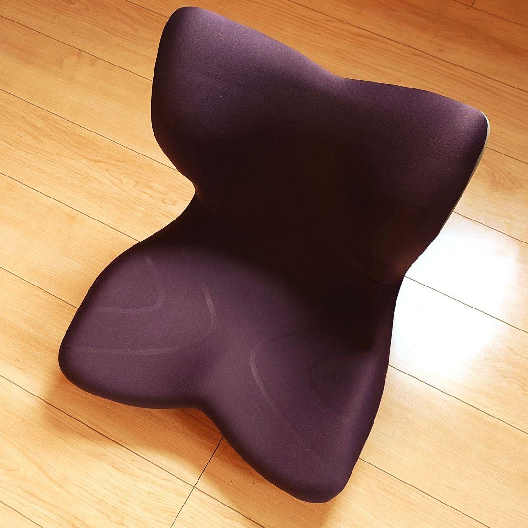 Style PREMIUM スタイルプレミアム 骨盤姿勢矯正クッション ブラウン