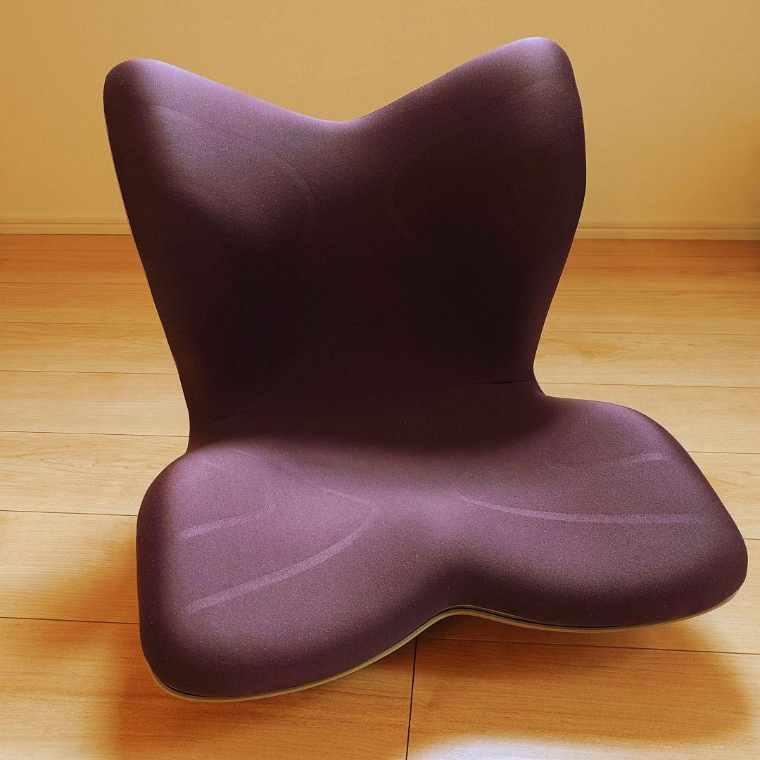 Style PREMIUM スタイルプレミアム 骨盤姿勢矯正クッション ブラウン