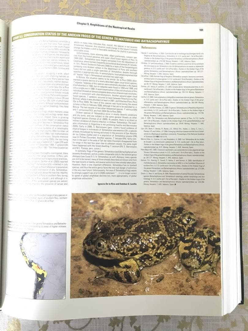 Threatened Amphibians of the World 英語版