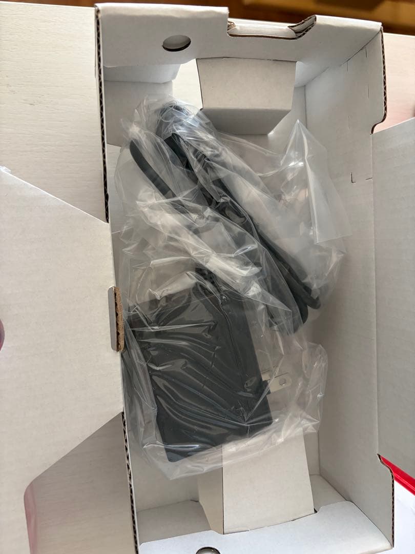 【極美品】Nintendo Switch Lite 充電器未使用