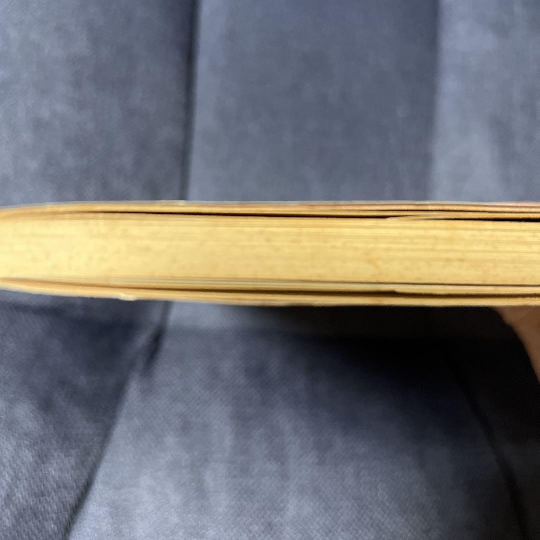 ⭕️映画文庫　小さな恋のメロディ