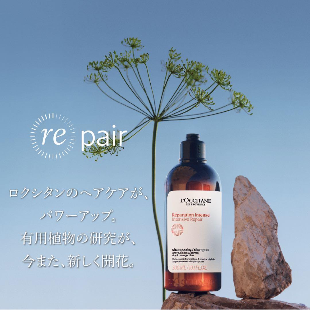 【L'OCCITANE ロクシタン】新品☆ ヘア・ボディ・ハンドケア 4点セット