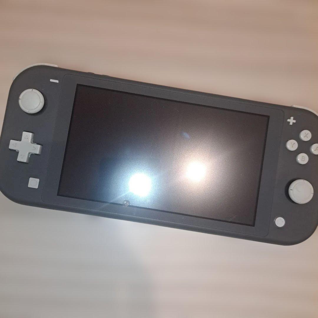 Switch Lite 本体 ジャンク