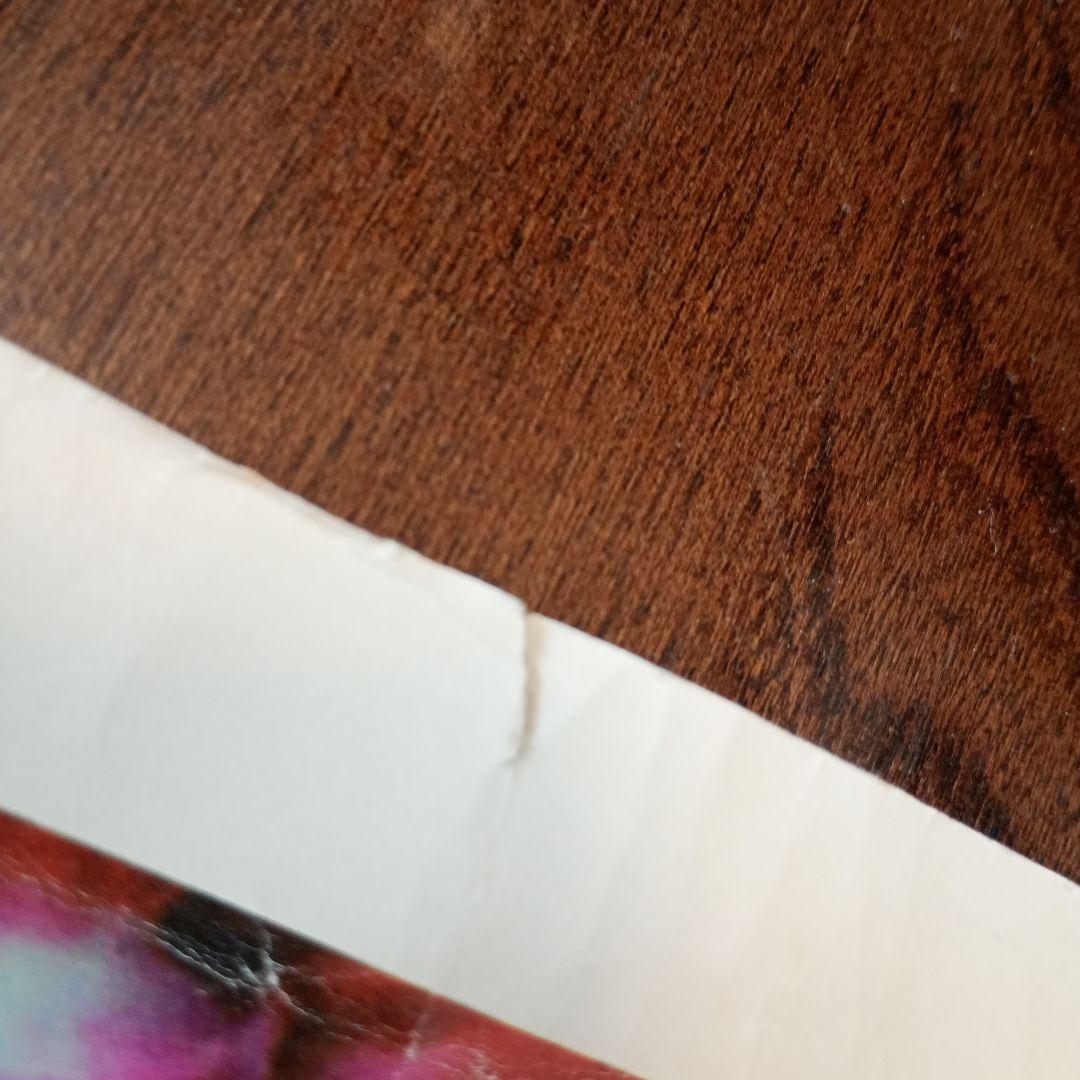 bjork postビョークポストビジュアルアートポスター